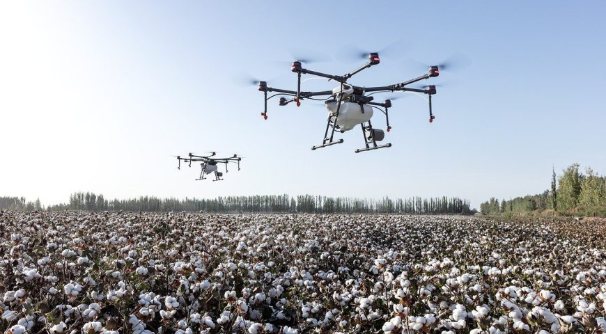 The Next Big Destination for Investment and Innovation: Traceability in Agri-tech