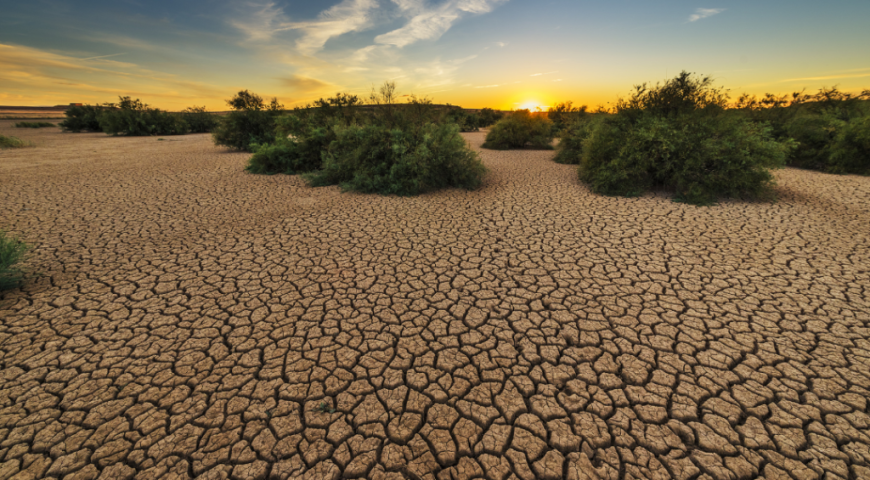 Reeling Under El Nino Impact; What lies ahead?